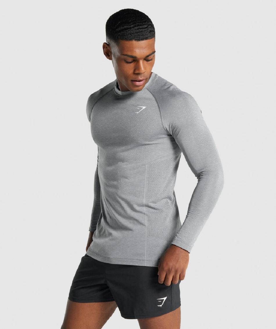 Long Sleeve Gymshark Vital Light Seamless Hombre Gris | CO 3520VRW